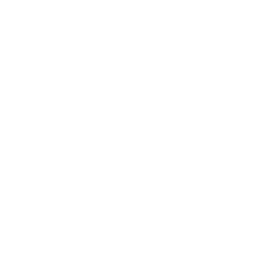 The Dor Brothers